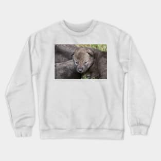 Timber Wolf Pup Crewneck Sweatshirt